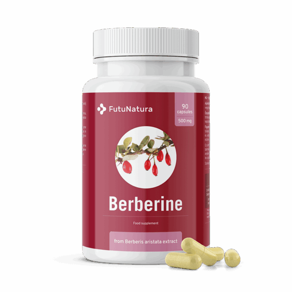 Fv berberin 500 mg 90 kom